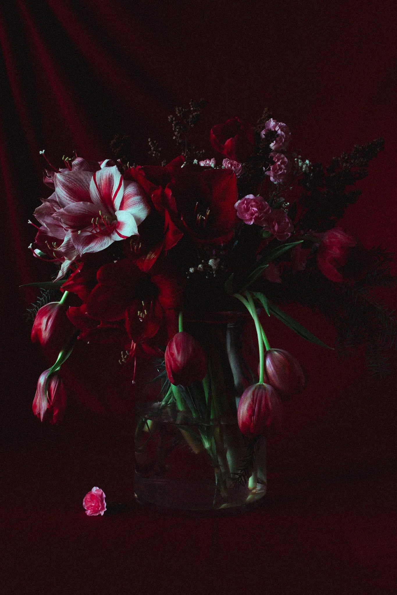 Artistic floral still life dark and moody